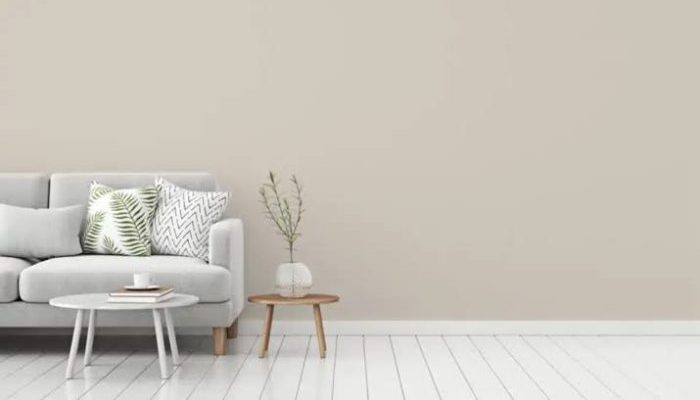 معرفی بهترین رنگ برای دیوار پذیرایی